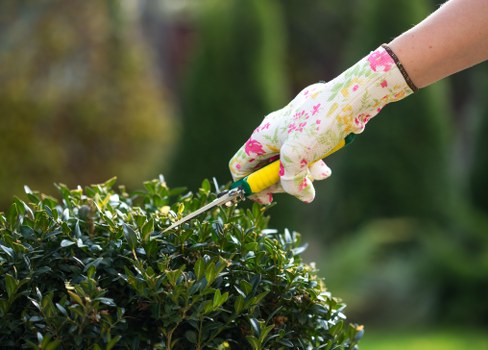 Garden clearance and landscaping estimate for a Leyton terrace property