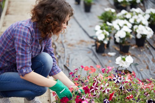 Patio installation planning for a Leyton garden