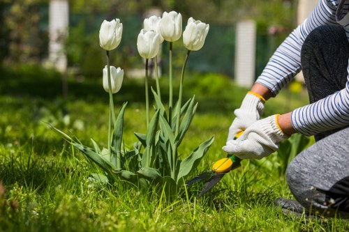 A professional landscaping team planning a Leyton garden project
