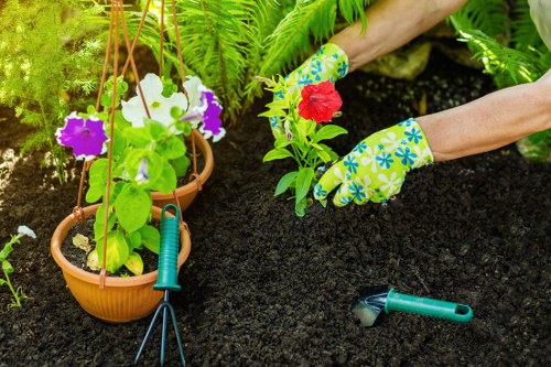 French drain and garden level improvement work