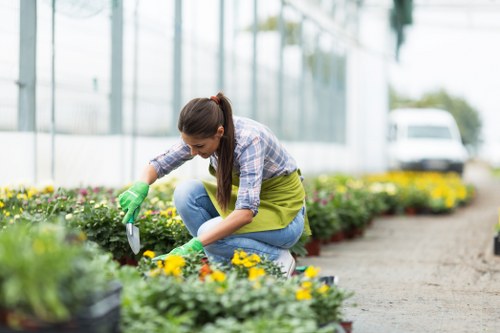 A detailed garden design scene showing planting and layout planning
