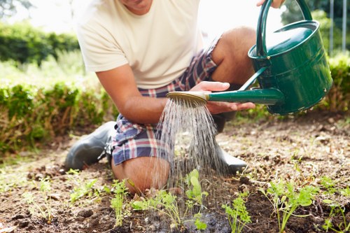 User adjusting browser cookie settings for Landscaping Leyton