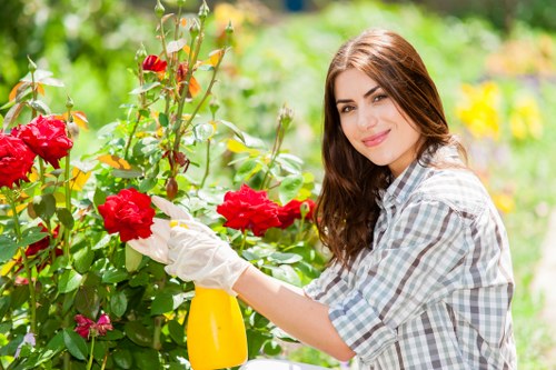 Charity reuse of surplus plants, pots, and landscaping materials
