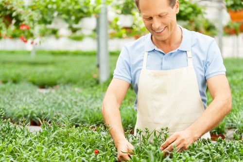 Analytics data and performance monitoring on a landscaping website