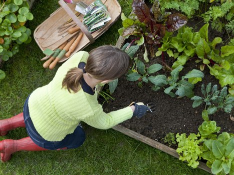 Garden construction details including patio, fencing, and finishing touches