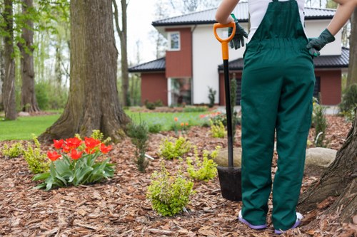 Professional turf installation and lawn finishing in Leyton