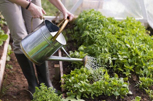 Waste removal and site clearance during landscaping